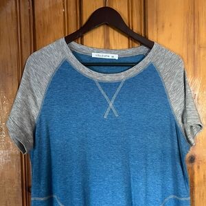 Lollo Vita Blue and Gray Raglan Top